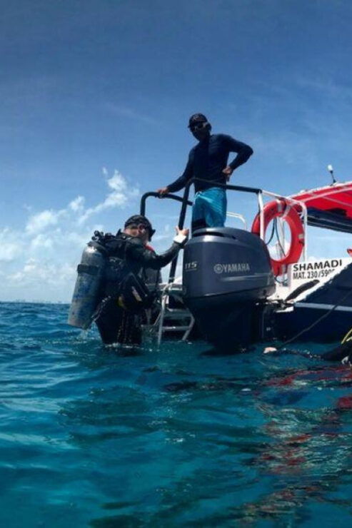 Cancun or Isla Mujeres Reef Diving for Beginners - Experience and Highlights