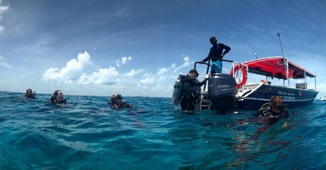 Cancun or Isla Mujeres Reef Diving for Beginners - Booking and Cancellation