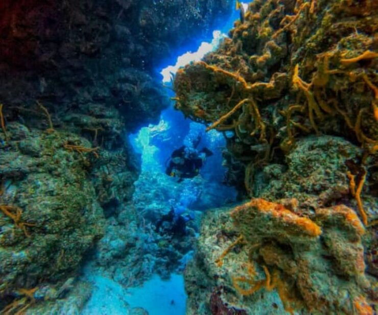 Cancun: PADI Enriched Air Nitrox Course - Learning Objectives