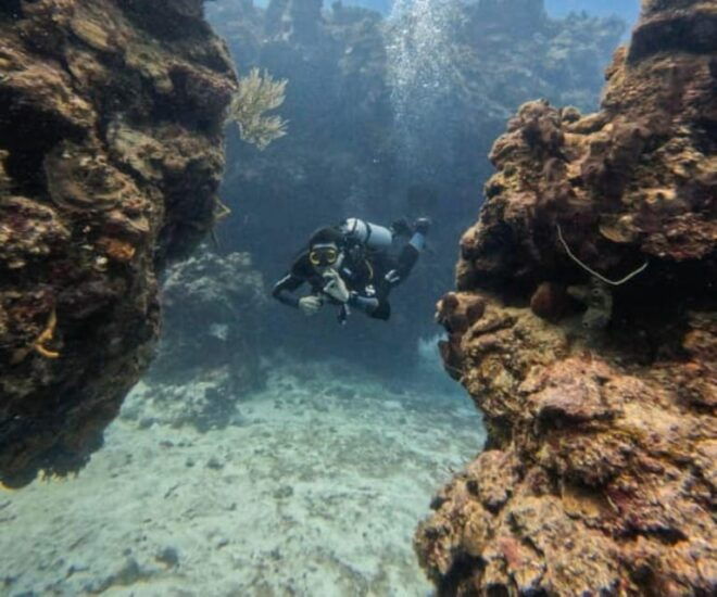 Cancun: PADI Enriched Air Nitrox Course - Course Structure