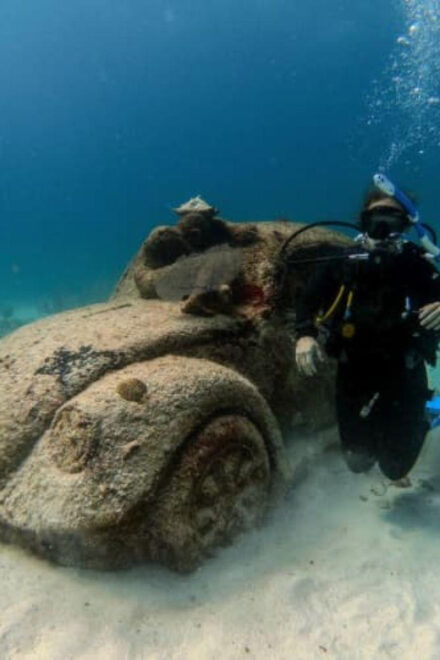 Cancun: PADI Open Water Course - Training Details