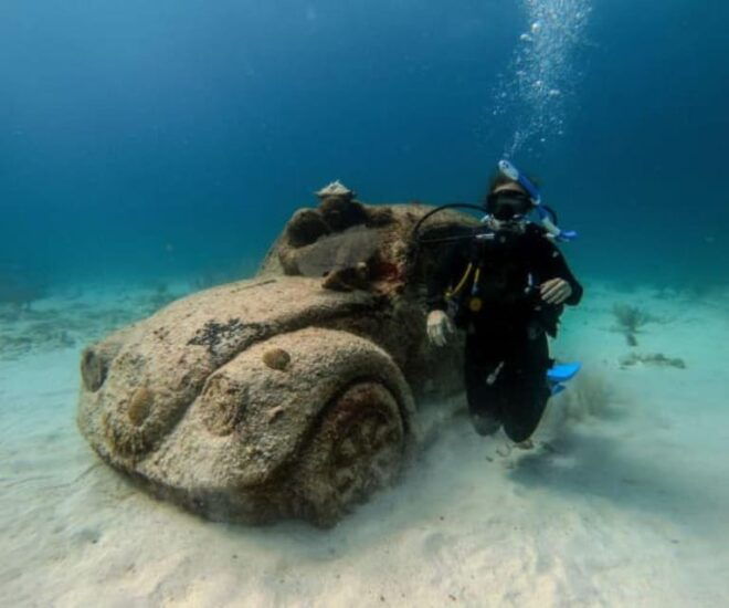 Cancun: PADI Open Water Course - Inclusions