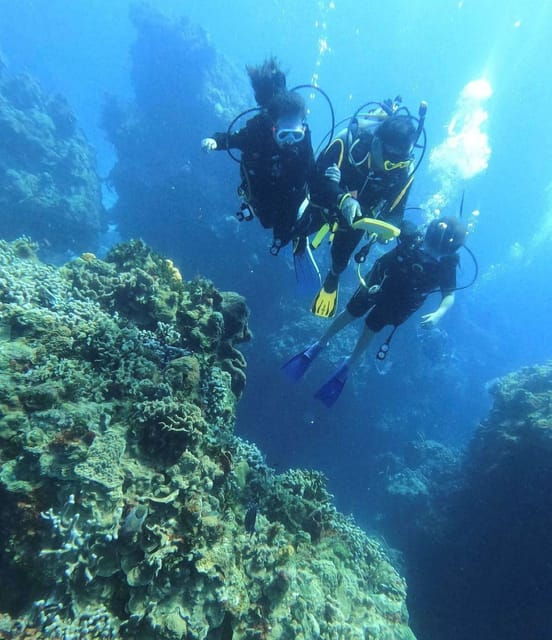 Cancun: Parrotfish Adventure Package - Frequently Asked Questions