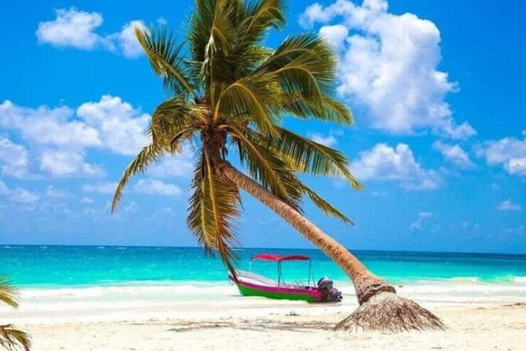 Cancun/Playa Del Carmen: 2 Cenotes, 1 Lagoon & Playa Paraiso - Itinerary Highlights