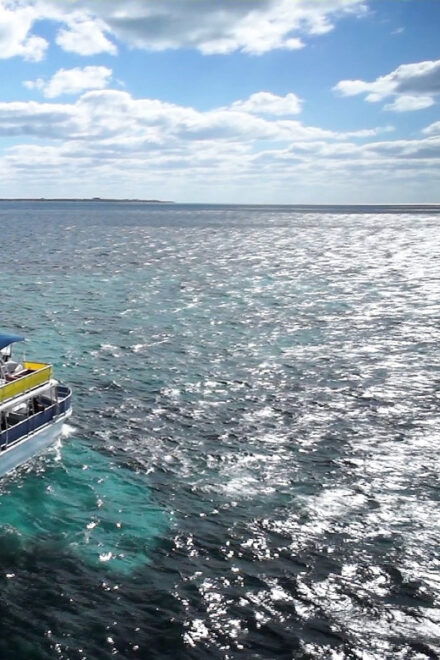 Cancun & Playa Del Carmen: Isla Mujeres Cruise & Day Tour - Important Reminders