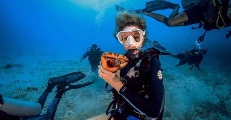 Cancún/Playa Del Carmen: Maroma Beach Advanced Diving Trip - Activity Details