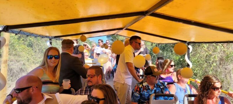 Cancun: Private 3 Hour Party Bus Experience - What Makes This Party Bus Experience Stand Out?