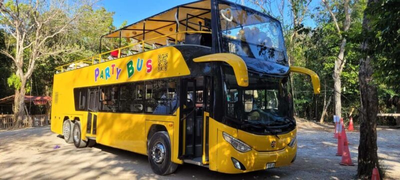 Cancun: Private 3 Hour Party Bus Experience - The Sum Up