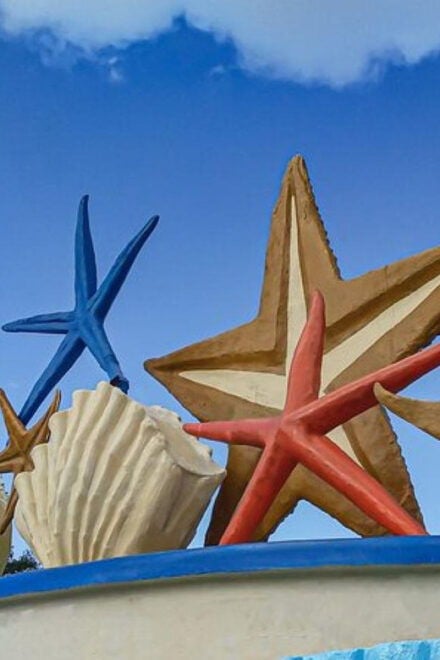 Cancun: Private Half-Day Guided Tour With Tequila Tasting - Inclusion Details
