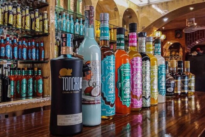 Cancun: Private Half-Day Guided Tour With Tequila Tasting - Mayan Archaeological Site