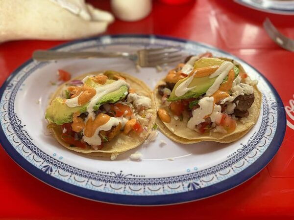 Cancún: Puerto Morelos City & Taco Tour - Frequently Asked Questions