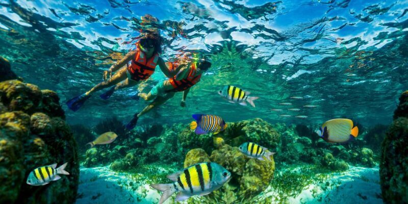 Cancún: Puerto Morelos Reef Snorkeling Tour & Seaside Lunch - Price and Value Analysis