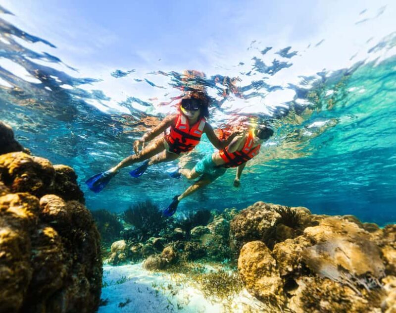 Cancún: Puerto Morelos Reef Snorkeling Tour & Seaside Lunch - Who Should Consider This Tour?