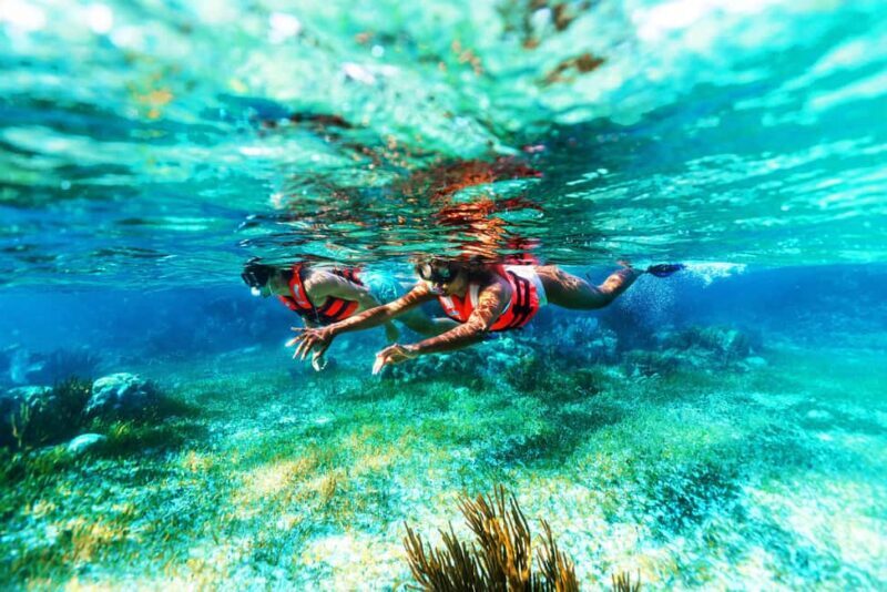 Cancún: Puerto Morelos Reef Snorkeling Tour & Seaside Lunch - Final Thoughts