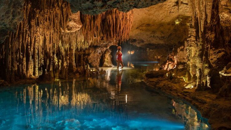 Cancún & Riviera Maya: Combo Xel-Ha & Xplor With Transport - Experience Highlights