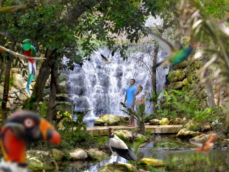 Cancun & Riviera Maya: Xcaret & Xplor Parks With Transport - Activities and Experiences