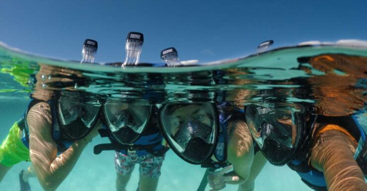 Cancun & Riviera Maya: Xel-Há All-Inclusive & Transportation - Park Experience Highlights