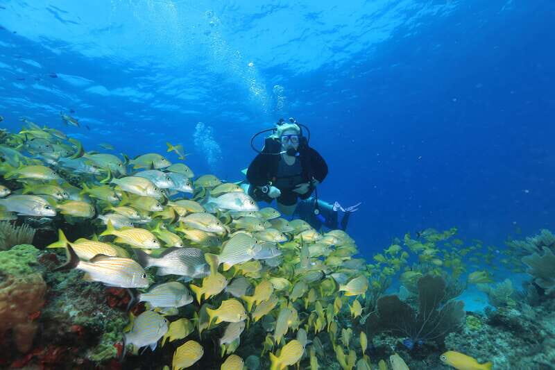 Cancun: Scuba Diving for Beginners, 2 Dives - Who Should Consider This Tour?