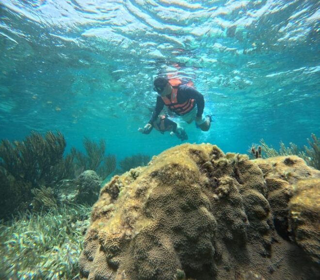 Cancun: Sea and Jungle Private Puerto Morelos Tour - Private Transportation From Cancun