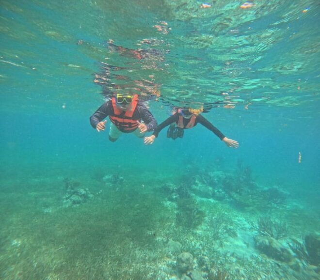 Cancun: Sea and Jungle Private Puerto Morelos Tour - Marine Species and Coral Reef