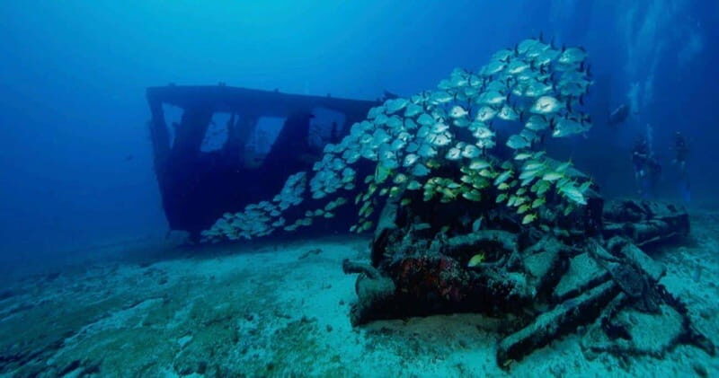 Cancun: Shipwreck and Reef Dives - The Sum Up