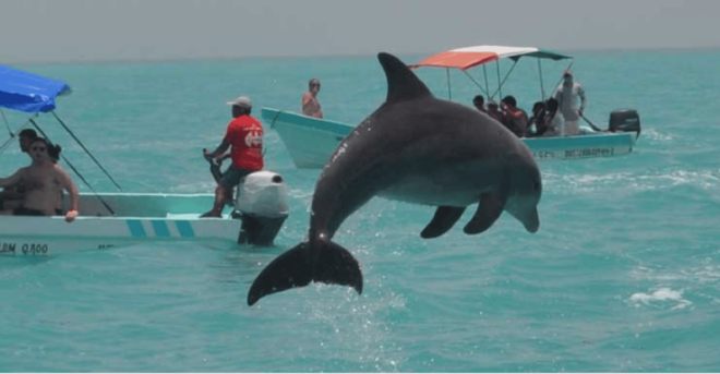 Cancun: Sian Kaan Adventure and Dolphin Sightseeing - Meal and Refreshments