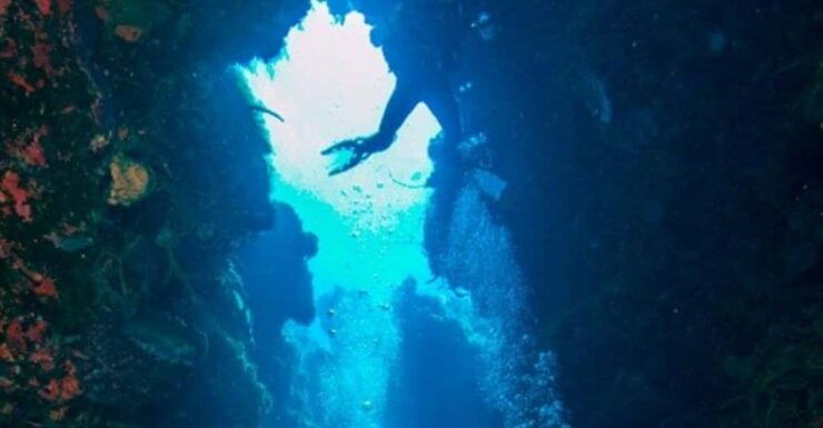 Cancun: Sian Kaan Biosphere Reserve - Dive Experience