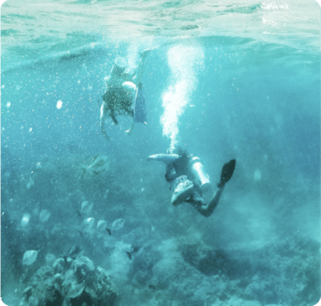 Cancun: Sian Kaan Biosphere Reserve - Certification and Safety