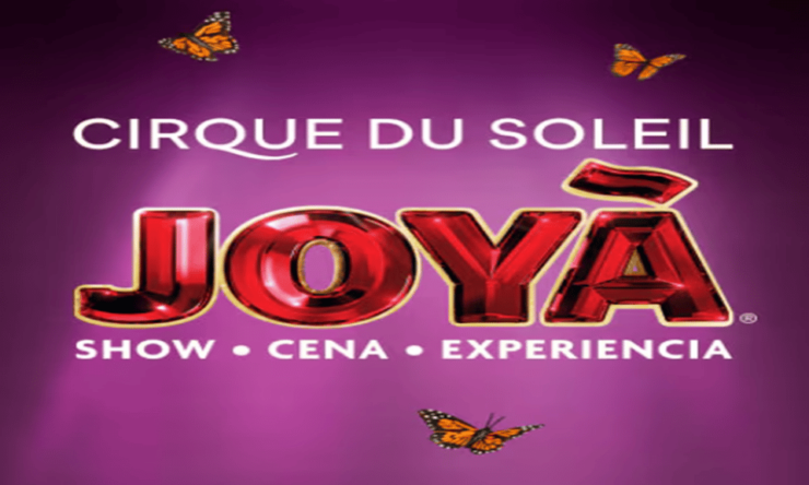 Cancun: Sightseeing City Tour and JOYA Cirque Du Soleil Show - Good To Know