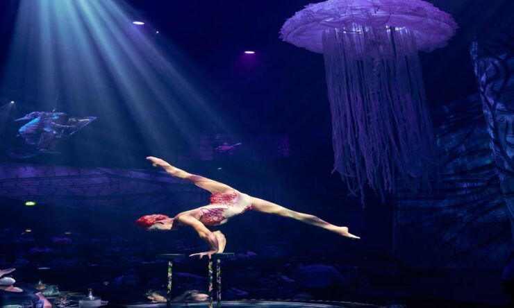 Cancun: Sightseeing City Tour and JOYA Cirque Du Soleil Show - Sightseeing Tour Details