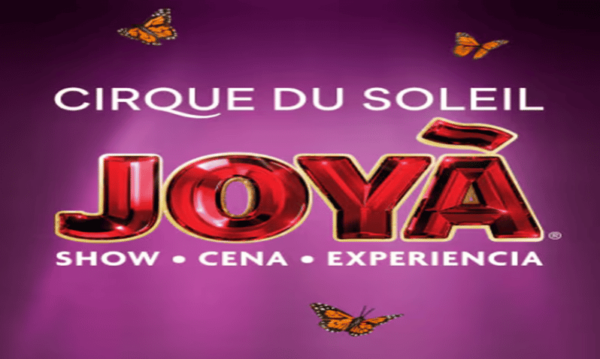 Cancun: Sightseeing City Tour and JOYA Cirque Du Soleil Show - Tour Highlights and Inclusions