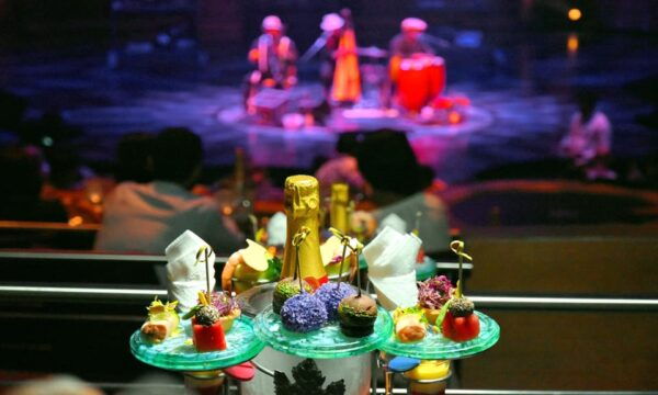 Cancun: Sightseeing City Tour and JOYA Cirque Du Soleil Show - Additional Information