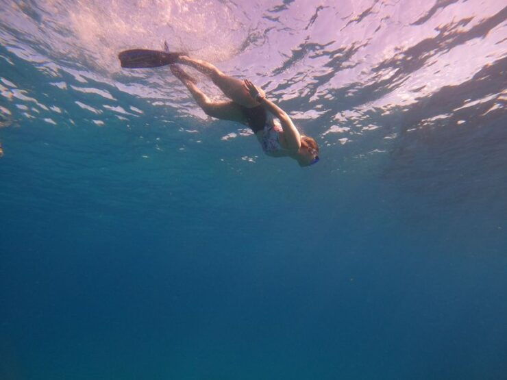 Cancun: Snorkel in MUSA Undewater Museum and Reef - Booking Information