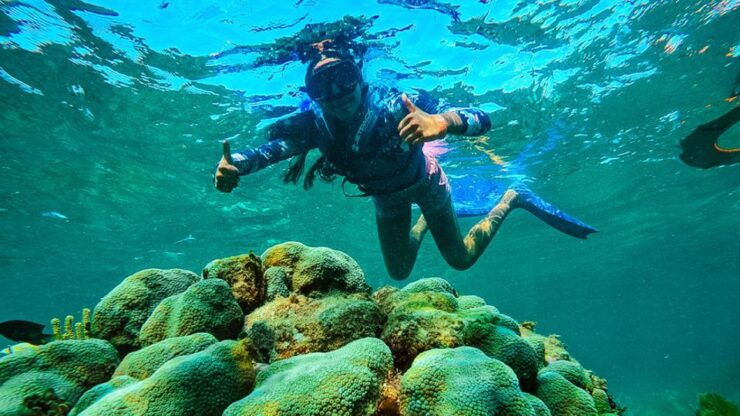 Cancun: Snorkel Speed Boat Mangrove Jungle Tour - Tour Duration and Group Size