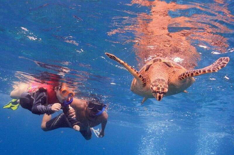 Cancun: Snorkeling at Underwater Museum & Manchones Reef - Good To Know