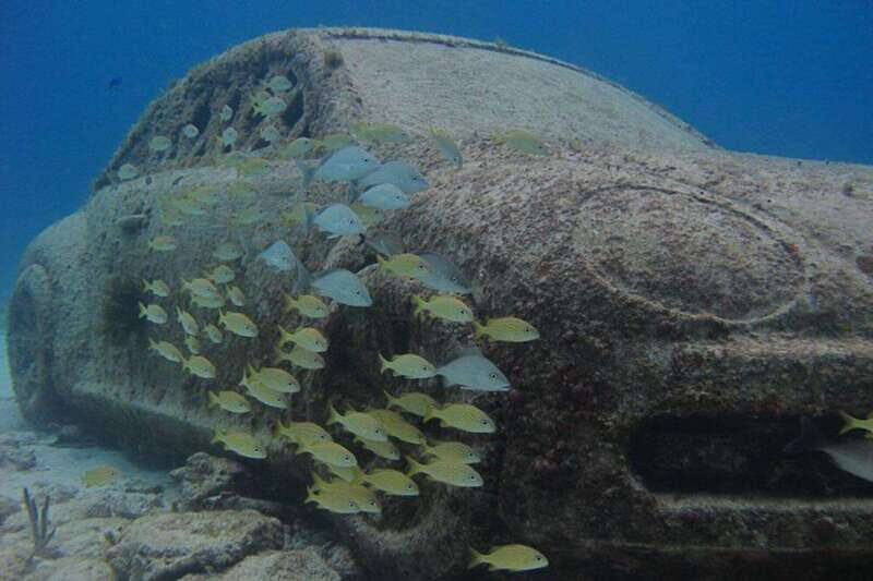 Cancun: Snorkeling at Underwater Museum & Manchones Reef - Authentic Insights from Reviewers