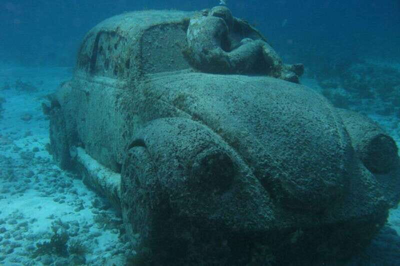 Cancun: Snorkeling at Underwater Museum & Manchones Reef - FAQ