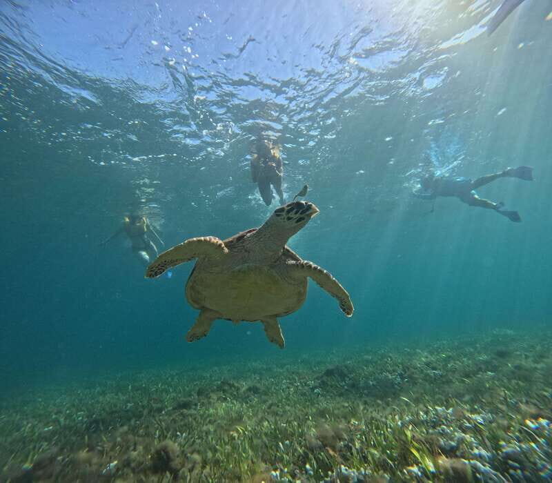 Cancun: Snorkeling Boat Tour with Gear - Analyzing the Value: Is It Worth the Price?