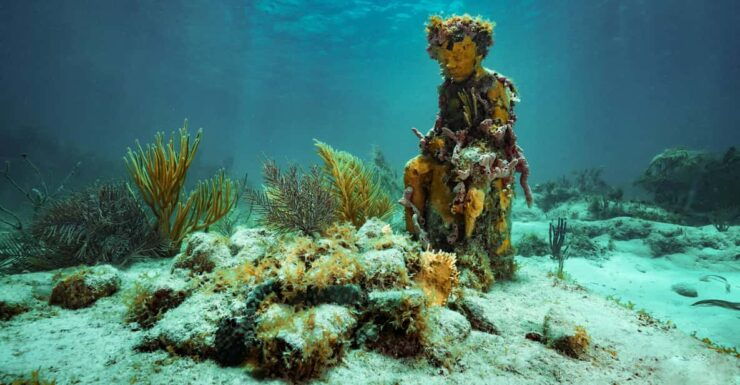 Cancun: Snorkeling Tour at MUSA The Underwater Museum - Experience Highlights