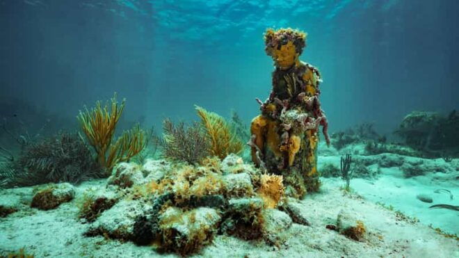 Cancun: Snorkeling Tour at MUSA The Underwater Museum - Included Amenities