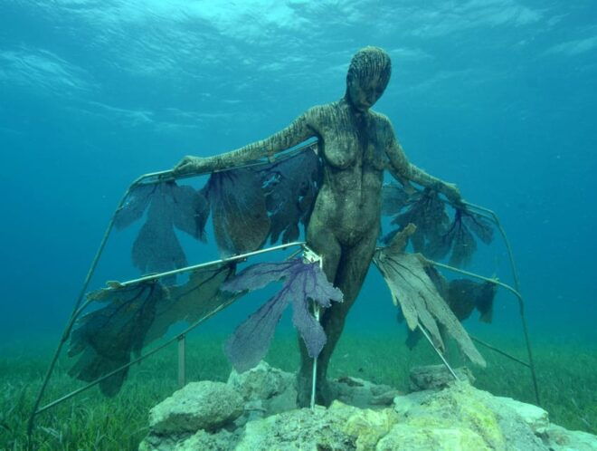 Cancun: Snorkeling Tour at MUSA The Underwater Museum - Participant Guidelines