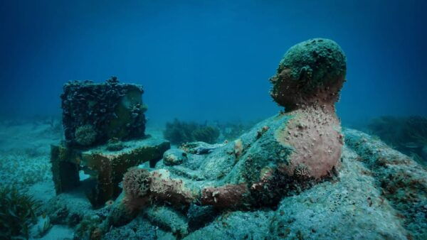 Cancun: Snorkeling Tour at MUSA The Underwater Museum - Additional Information