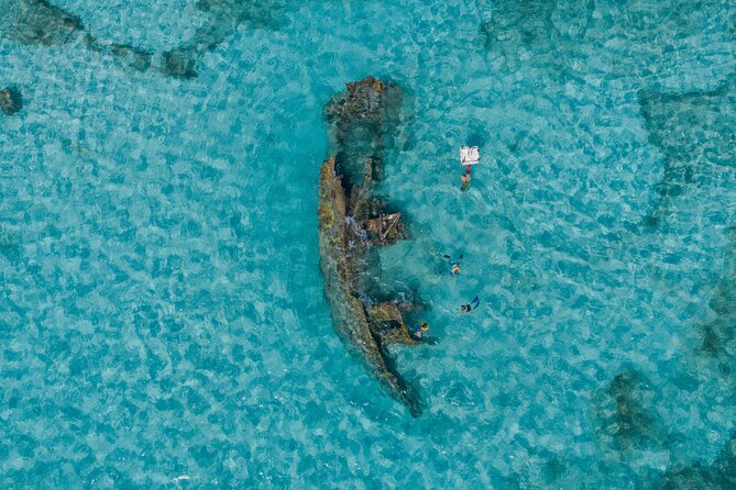 Cancun Snorkeling Tour: Swim With Turtles, Reef, Underwater Museum and Shipwreck - Tour Highlights