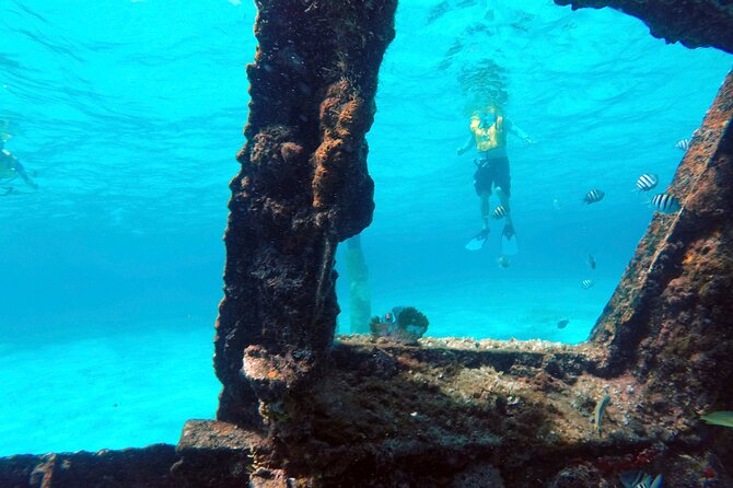 Cancun Snorkeling Tour: Swim With Turtles, Reef, Underwater Museum and Shipwreck - Additional Information