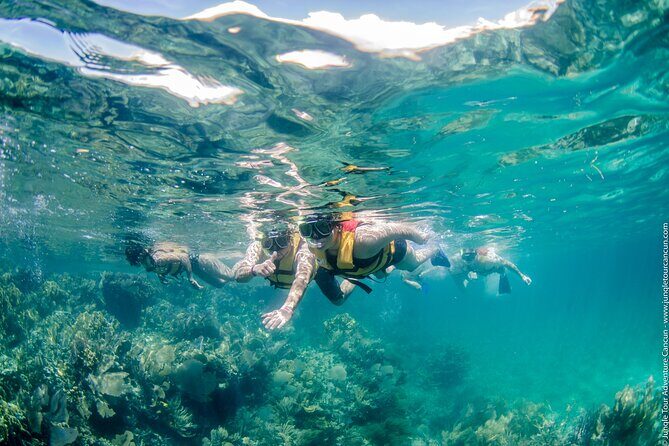 Cancun Speedboat And Snorkel Tour - Who Is This Tour Best For?