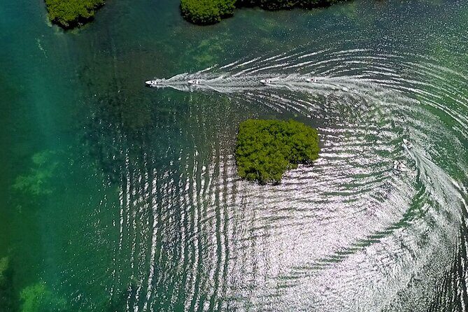 Cancun Speedboat And Snorkel Tour - The Sum Up