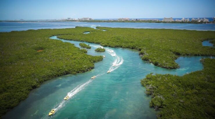 Cancun: Speedboat Mangrove Jungle & Snorkel Tour - Experience Highlights