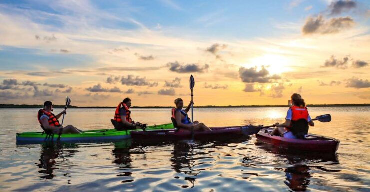 Cancun: Sunset Kayak Experience in the Mangroves - Experience Highlights
