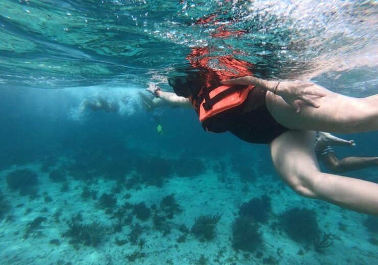 Cancun: Swim and Snorkel With Whale Sharks, Includes Snacks - Snorkeling in Isla Mujeres Reef
