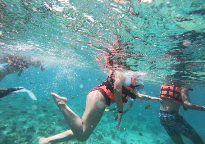 Cancun: Swim and Snorkel With Whale Sharks, Includes Snacks - Complimentary Beverages and Light Snacks